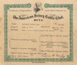 American Jersey Cattle Club